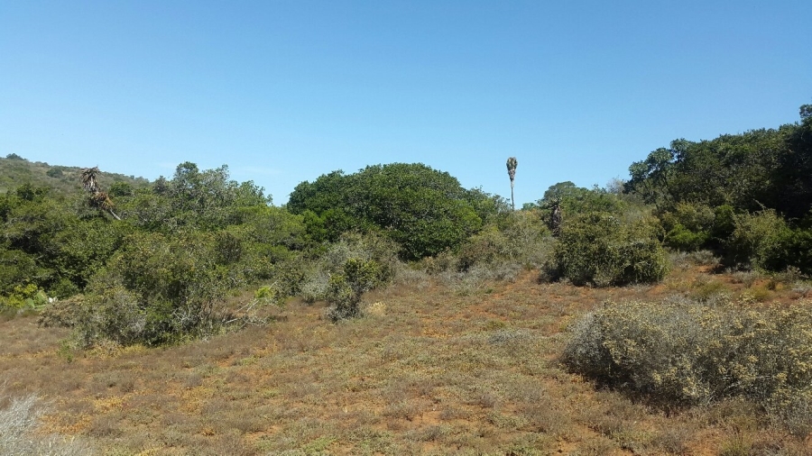 0 Bedroom Property for Sale in Uitenhage Rural Eastern Cape
